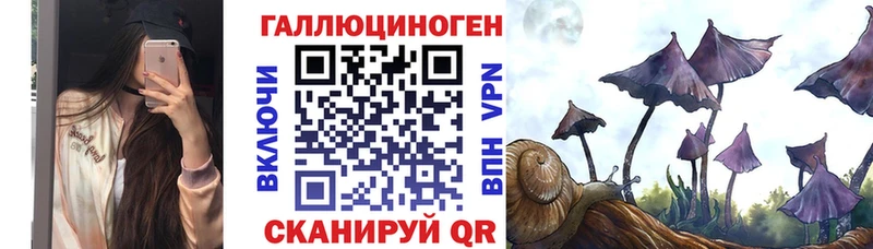 Купить  Ермолино  Галлюциногенные грибы мицелий 